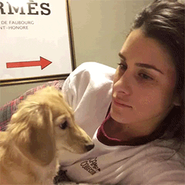 gifs de humor