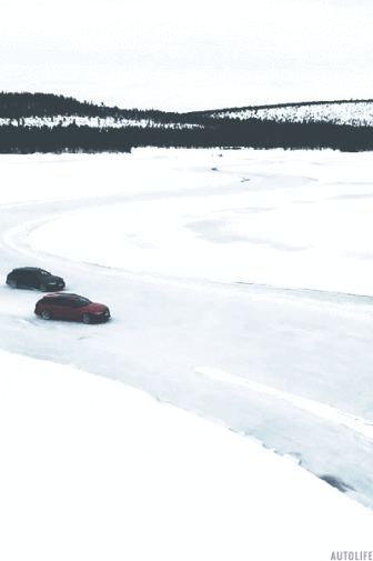 Gifs Sueltas Muy Seltas