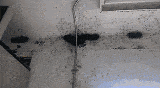 Gifs Sueltas Muy Seltas