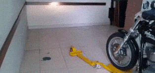 gif de humor