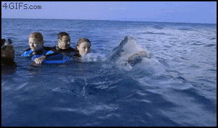Gifs Sueltas Muy Seltas