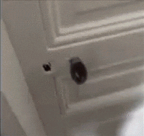 Gifs Sueltas Muy Seltas