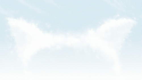 gifs de humor