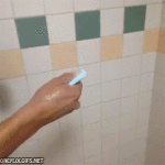 Gifs Sueltas Muy Seltas