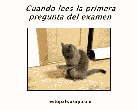 gifs