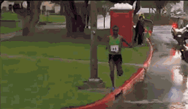 gifs