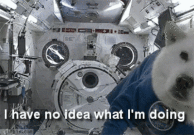 gif de humor