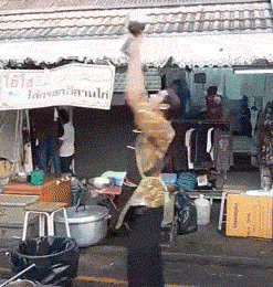 gifs de humor