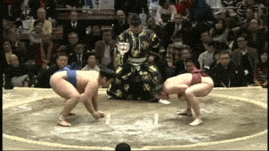 gifs