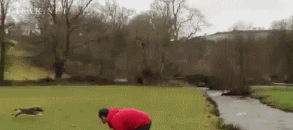 gifs de humor