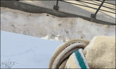 Gifs Sueltas Muy Seltas