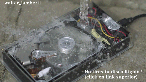 gifs de humor