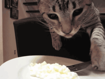 gifs de humor
