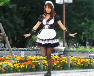 gifs de humor