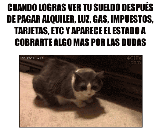 gifs