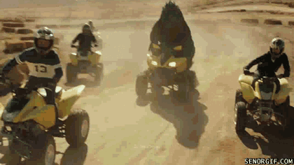 gif de humor