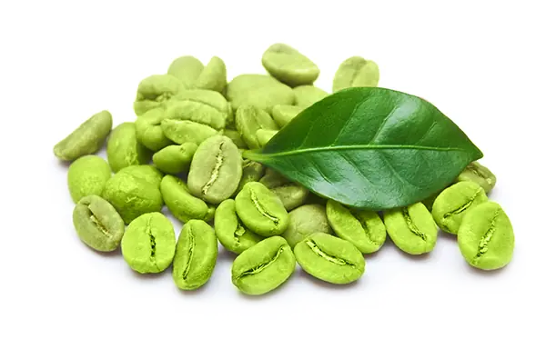 Dieta del café verde para bajar de peso muy rápido