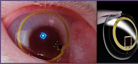 Lentes de contacto con video de alta definición incorporado
