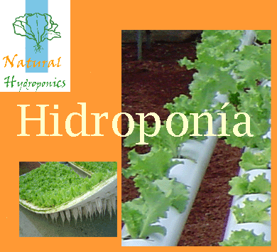 Hidroponia(cualquira lo puede hacer)
