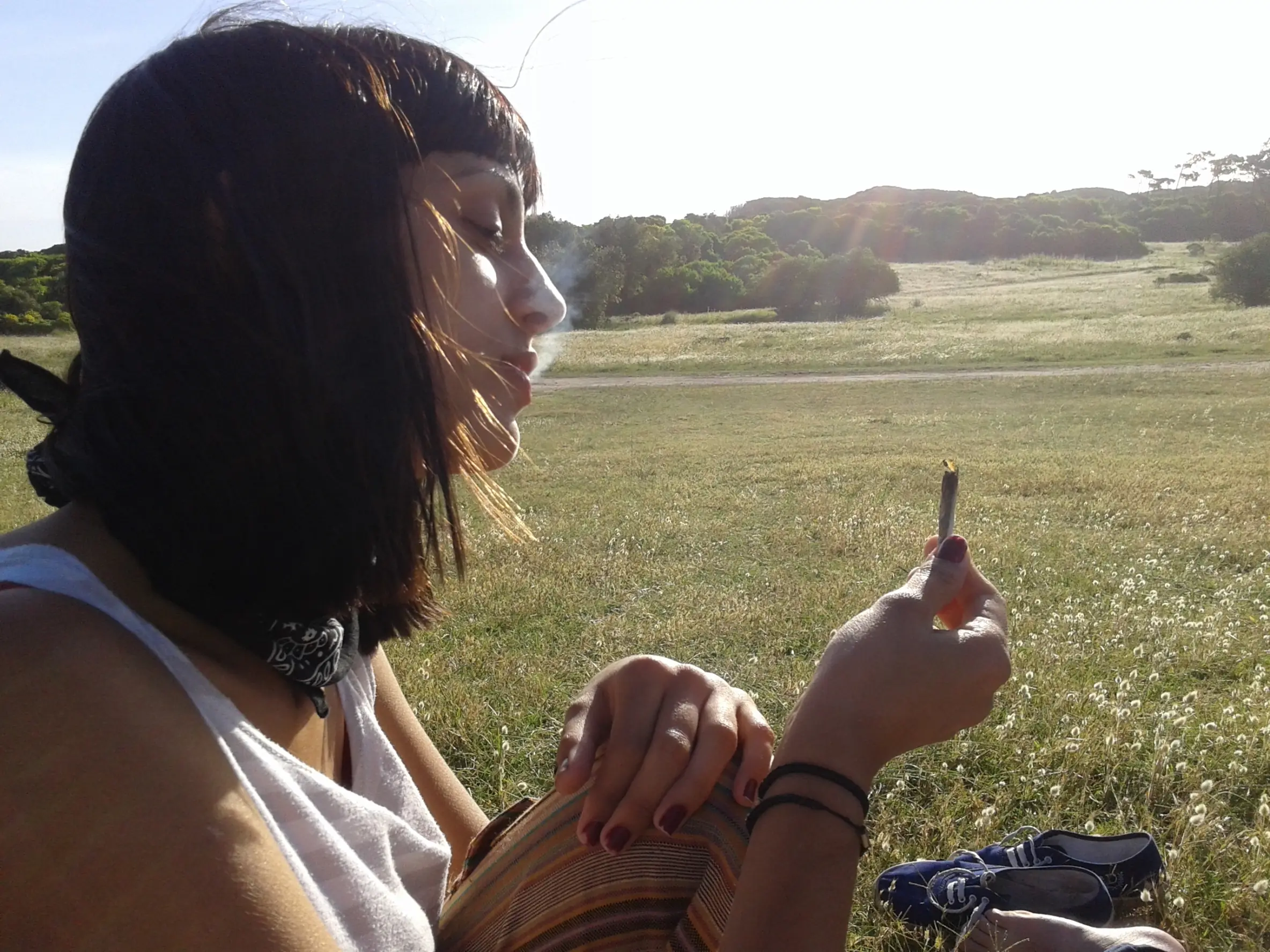 ¿Por qué fumamos Marihuana?
