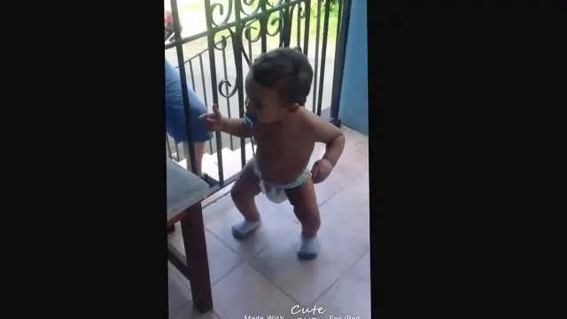 videos youtube graciosos