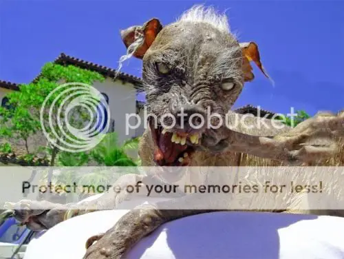 imagenes imagenes
