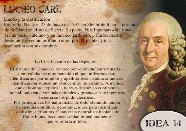 teorias cientificas