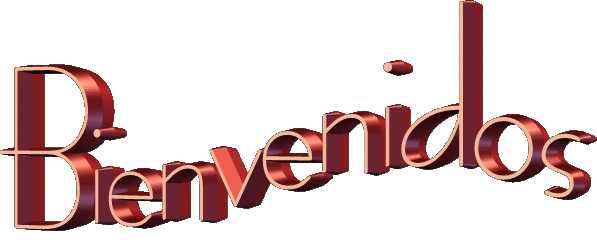 Lanata ppt, la reelección pensemos juntos