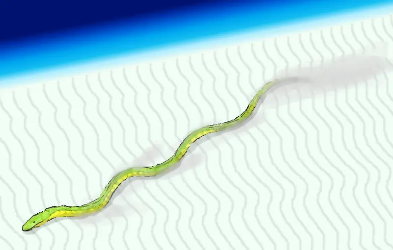 gigantophis y titanoboa