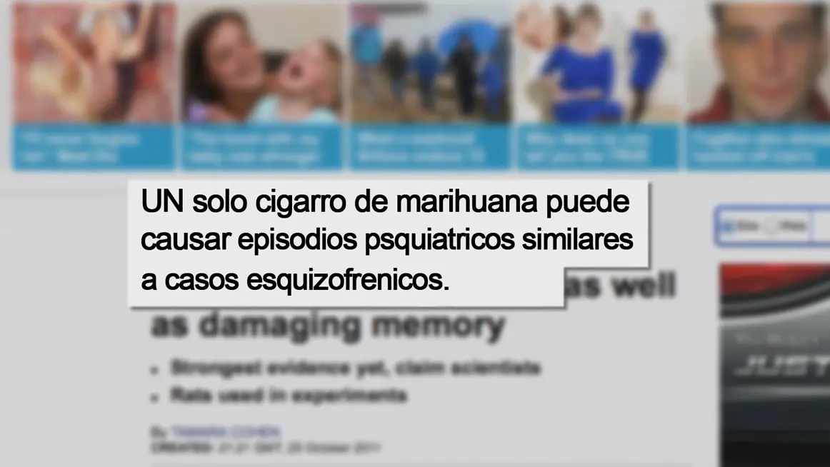 cannabis