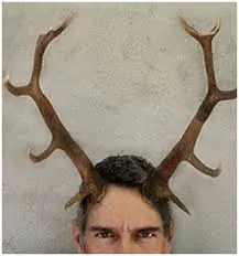 Esposo se vengo de su infiel esposa y te lo cuento Linceso