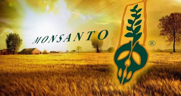 monsanto