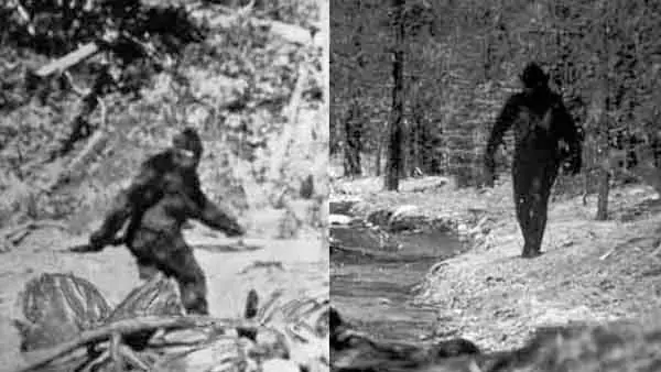 Ofrecen U$S 10 millones para el que atrape a Pie Grande