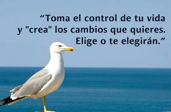 realidad