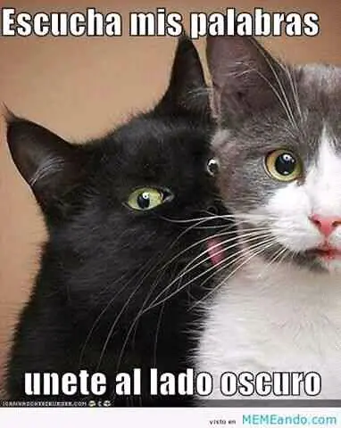 memes