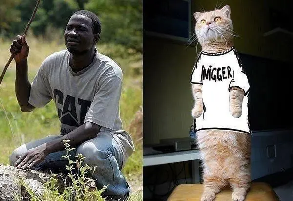 wtf images