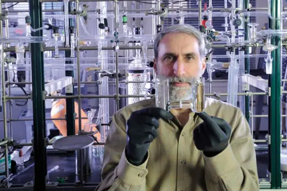 Bacteria modificada convierte la energía del Sol en combusti