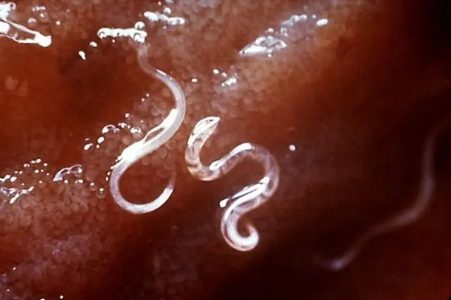 propios