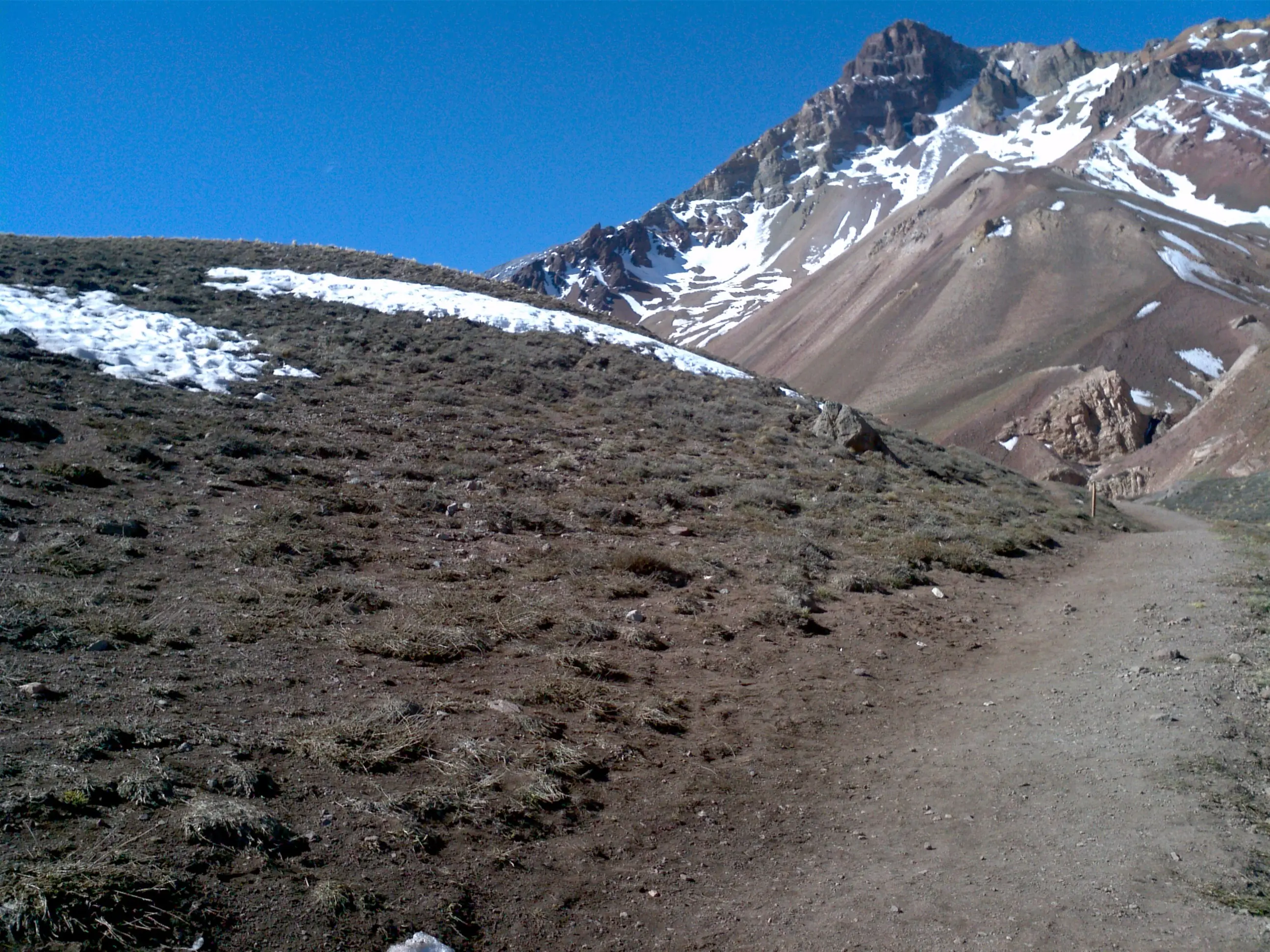 Inca