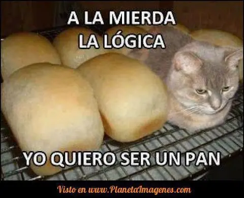 Solo entra