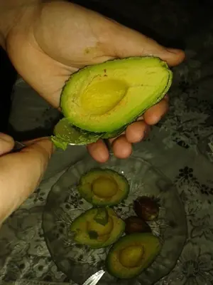 ¡Aguante el guacamole vieja, no me importa nada! ¡Aguante el guacamole vieja, no me importa nada!