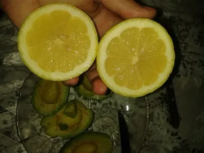 comida mexicana comida mexicana