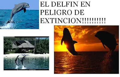 Animales [post]