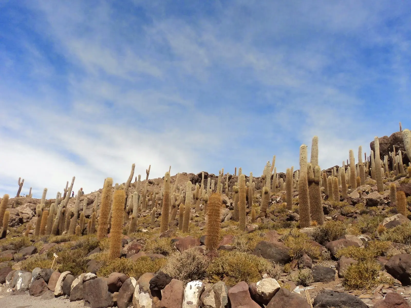 El salar más grande del mundo: Tour de tres días en Uyuni