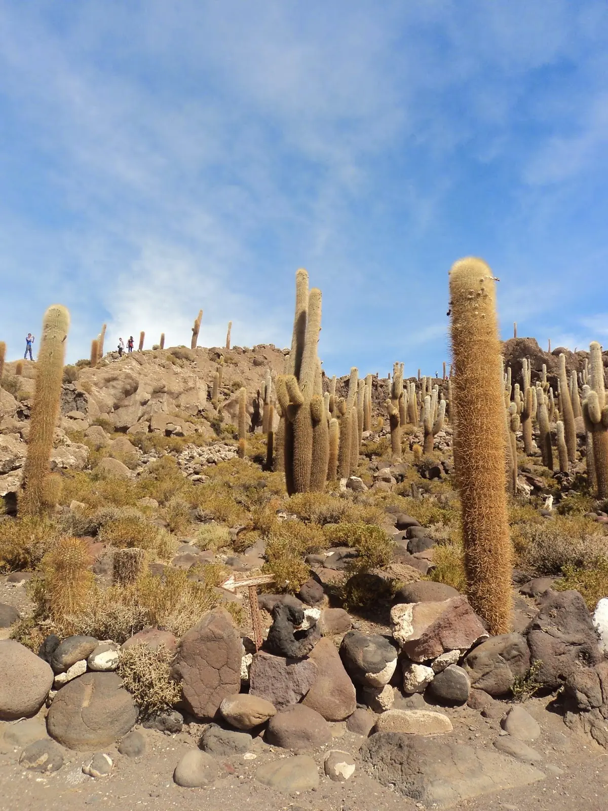El salar mas grande del mundo