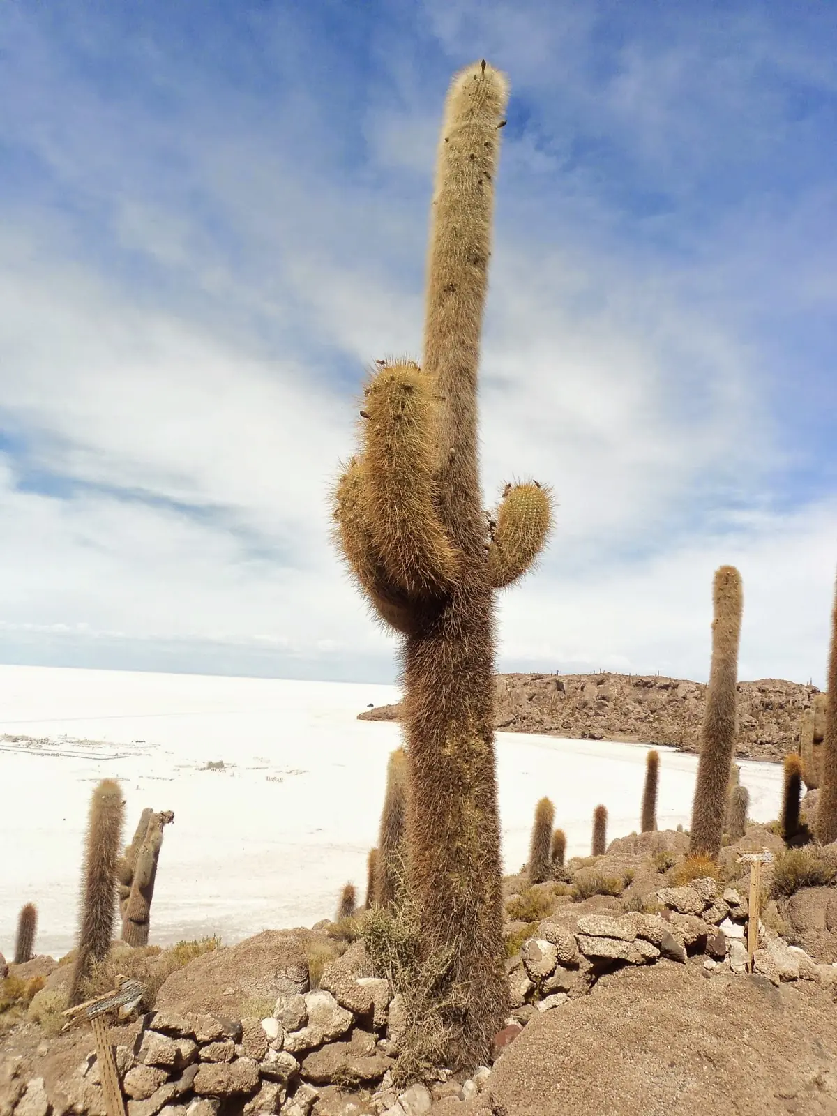 Tour Uyuni