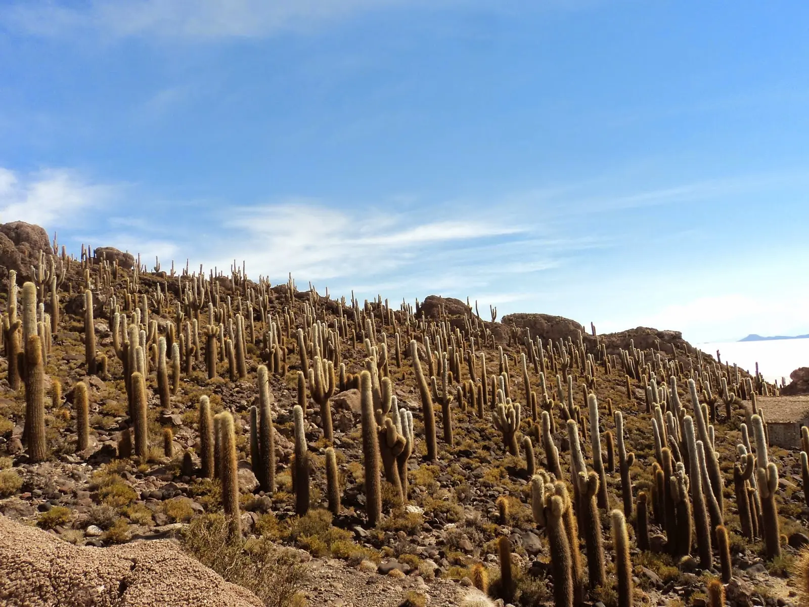 Tour de tres dias Uyuni