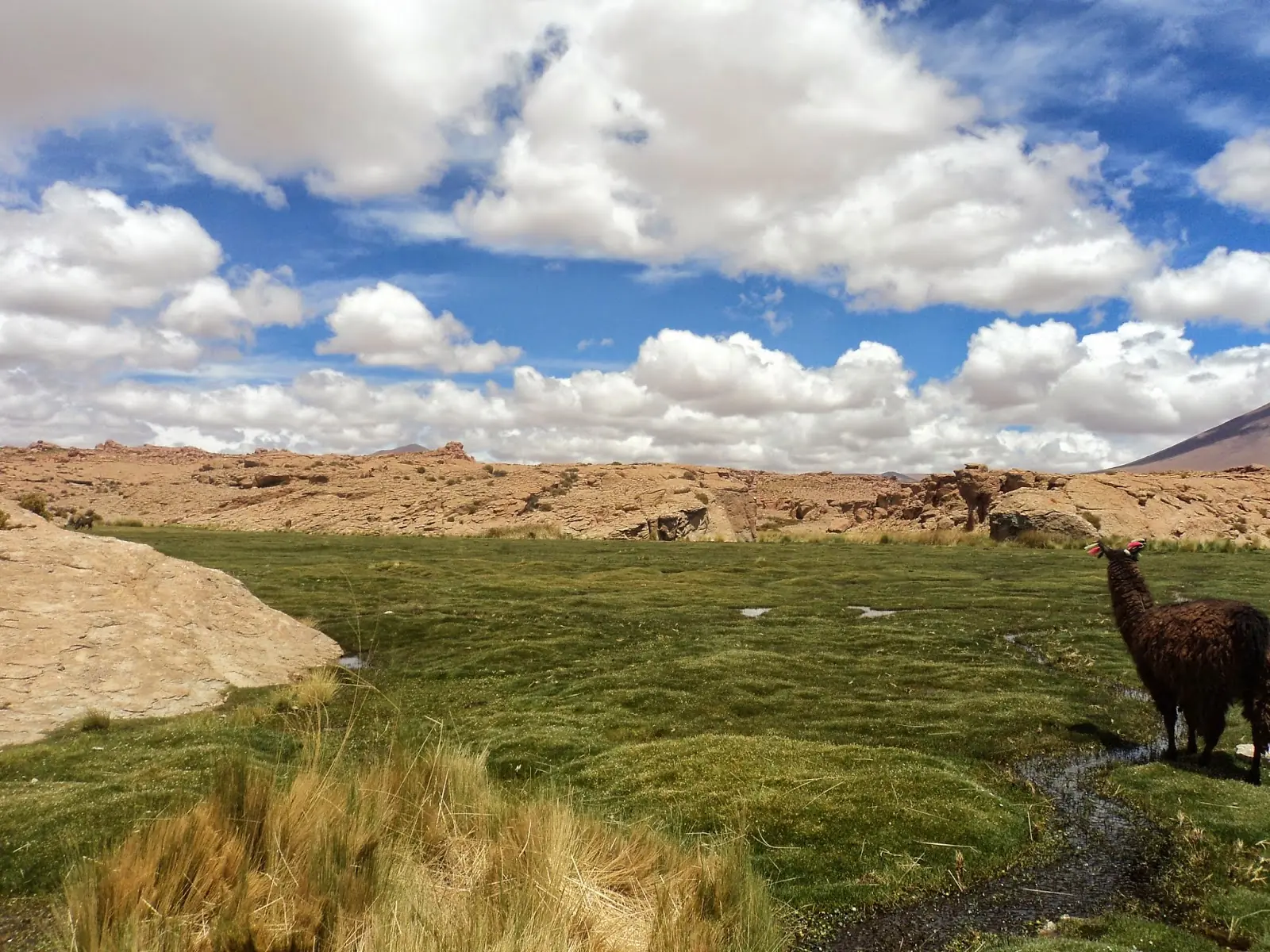 El salar más grande del mundo: Tour de tres días en Uyuni