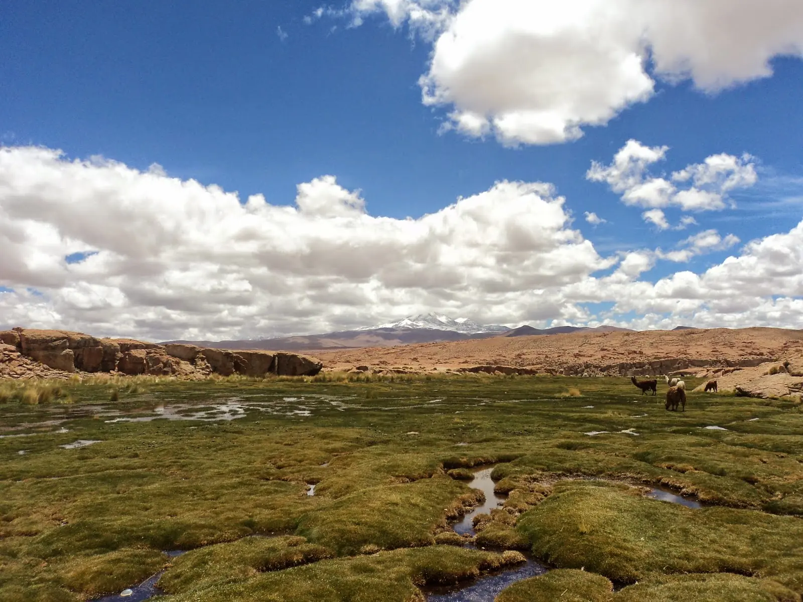 Tour de tres dias en Uyuni