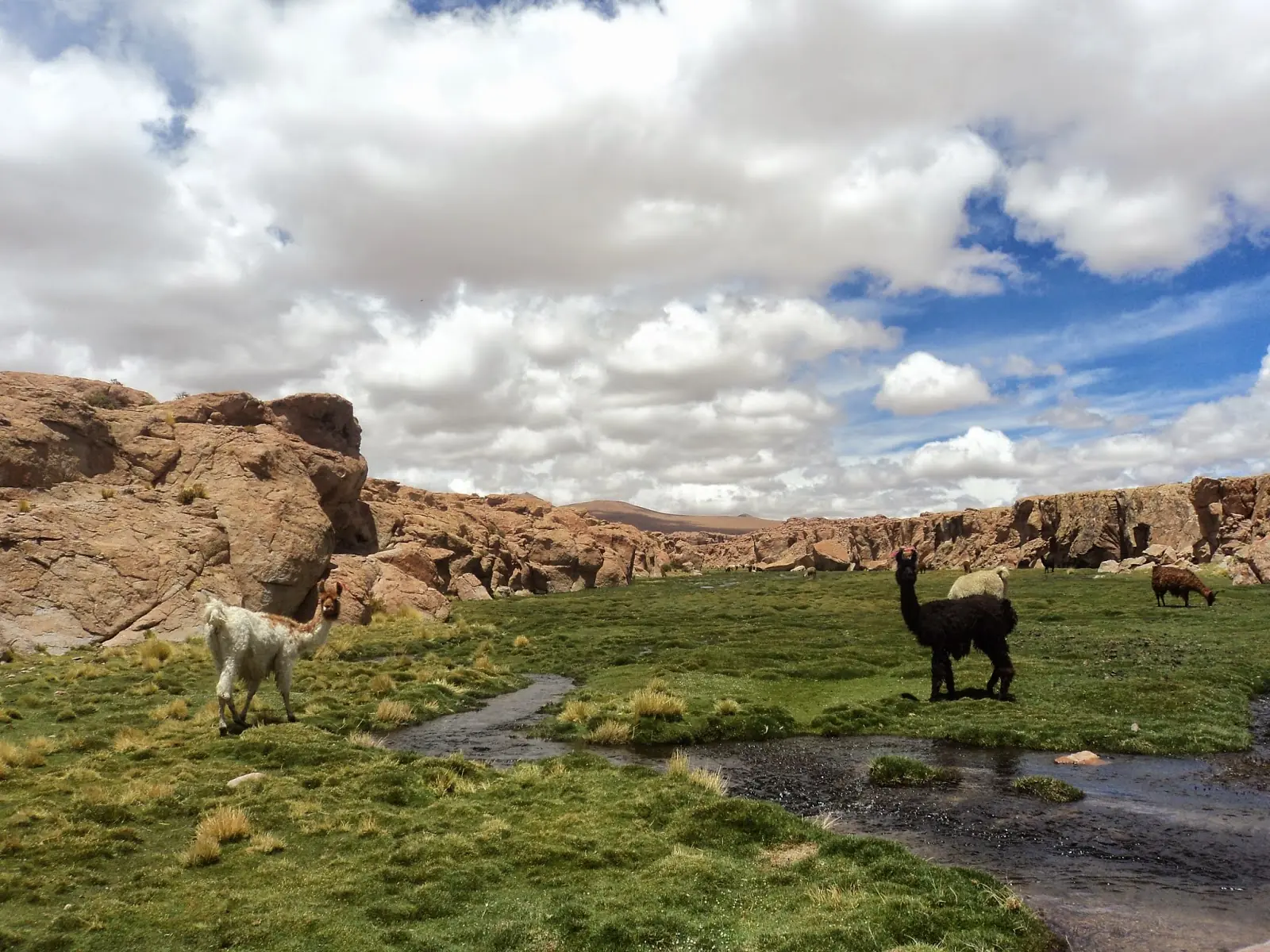 Tour de tres dias Uyuni